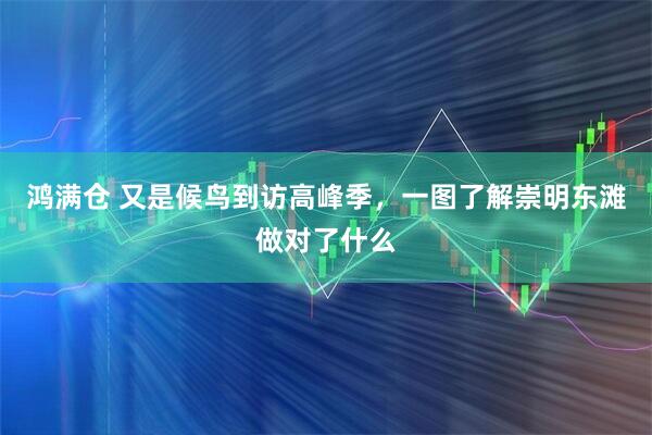 鸿满仓 又是候鸟到访高峰季，一图了解崇明东滩做对了什么