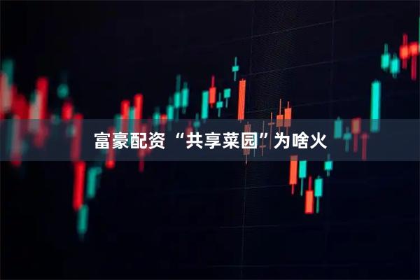 富豪配资 “共享菜园”为啥火