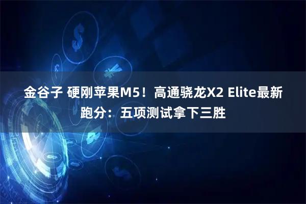 金谷子 硬刚苹果M5！高通骁龙X2 Elite最新跑分：五项测试拿下三胜