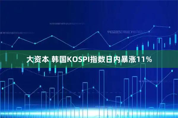 大资本 韩国KOSPI指数日内暴涨11%