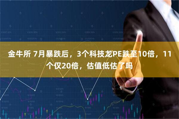 金牛所 7月暴跌后，3个科技龙PE跌至10倍，11个仅20倍，估值低估了吗